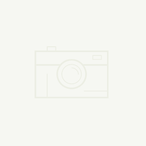 自動追頻超聲波焊接機